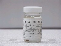 藏品(青葉鯛)的圖片